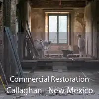Commercial Restoration Callaghan - New Mexico