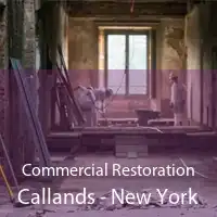 Commercial Restoration Callands - New York