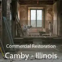 Commercial Restoration Camby - Illinois