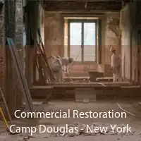 Commercial Restoration Camp Douglas - New York