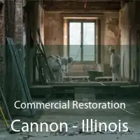 Commercial Restoration Cannon - Illinois