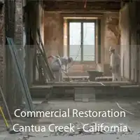 Commercial Restoration Cantua Creek - California