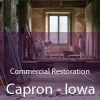 Commercial Restoration Capron - Iowa