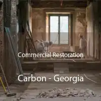 Commercial Restoration Carbon - Georgia