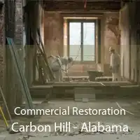 Commercial Restoration Carbon Hill - Alabama