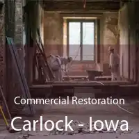 Commercial Restoration Carlock - Iowa