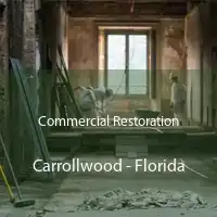 Commercial Restoration Carrollwood - Florida