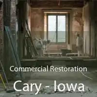 Commercial Restoration Cary - Iowa