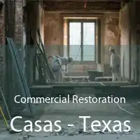Commercial Restoration Casas - Texas