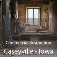 Commercial Restoration Caseyville - Iowa