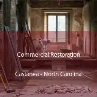 Commercial Restoration Castanea - North Carolina