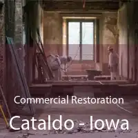 Commercial Restoration Cataldo - Iowa