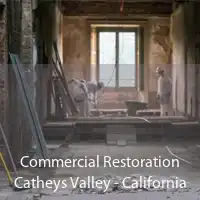 Commercial Restoration Catheys Valley - California