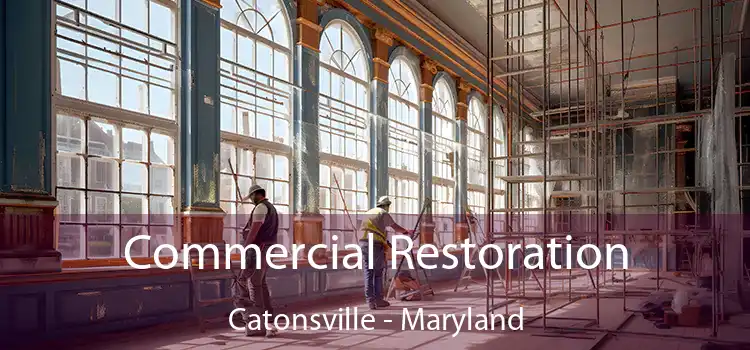 Commercial Restoration Catonsville - Maryland