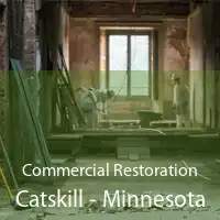 Commercial Restoration Catskill - Minnesota