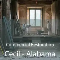 Commercial Restoration Cecil - Alabama