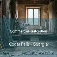 Commercial Restoration Cedar Falls - Georgia