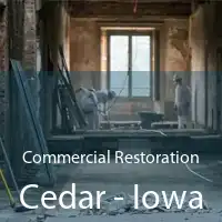 Commercial Restoration Cedar - Iowa