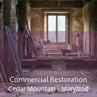 Commercial Restoration Cedar Mountain - Maryland