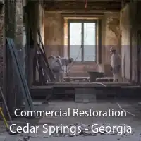 Commercial Restoration Cedar Springs - Georgia