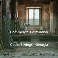 Commercial Restoration Cedar Springs - Georgia