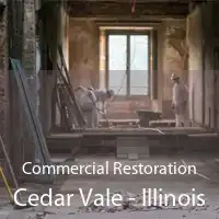 Commercial Restoration Cedar Vale - Illinois