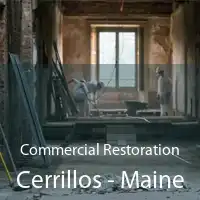 Commercial Restoration Cerrillos - Maine