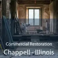 Commercial Restoration Chappell - Illinois