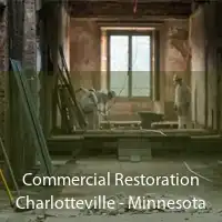 Commercial Restoration Charlotteville - Minnesota
