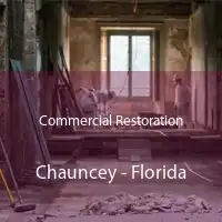 Commercial Restoration Chauncey - Florida