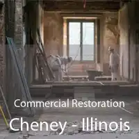 Commercial Restoration Cheney - Illinois