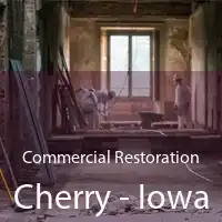 Commercial Restoration Cherry - Iowa