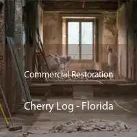 Commercial Restoration Cherry Log - Florida