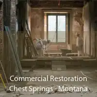 Commercial Restoration Chest Springs - Montana