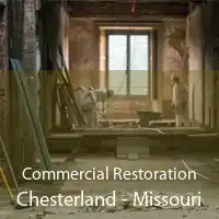 Commercial Restoration Chesterland - Missouri