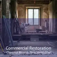 Commercial Restoration Chestnut Mound - New Hampshire
