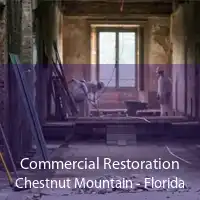 Commercial Restoration Chestnut Mountain - Florida