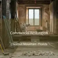 Commercial Restoration Chestnut Mountain - Florida