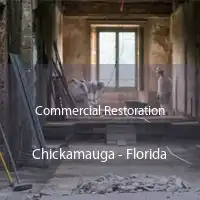 Commercial Restoration Chickamauga - Florida