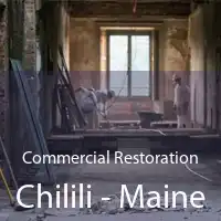 Commercial Restoration Chilili - Maine