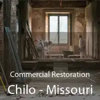 Commercial Restoration Chilo - Missouri
