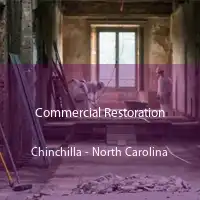 Commercial Restoration Chinchilla - North Carolina