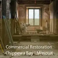 Commercial Restoration Chippewa Bay - Missouri