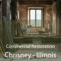 Commercial Restoration Chrisney - Illinois