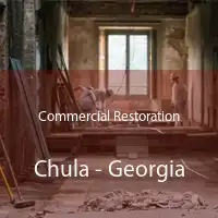 Commercial Restoration Chula - Georgia