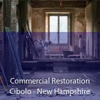 Commercial Restoration Cibolo - New Hampshire