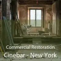 Commercial Restoration Cinebar - New York