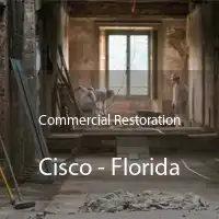 Commercial Restoration Cisco - Florida