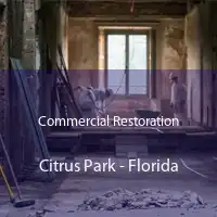 Commercial Restoration Citrus Park - Florida