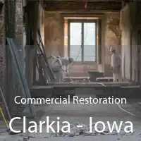 Commercial Restoration Clarkia - Iowa